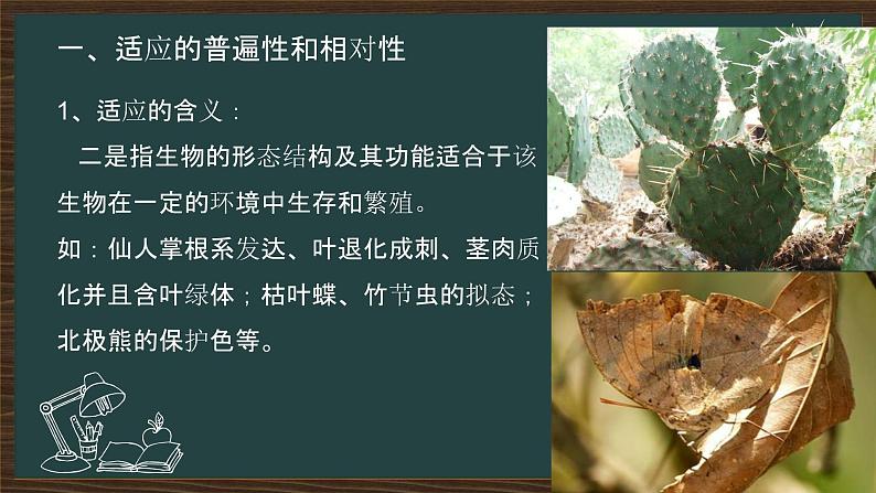 6.2自然选择与适应的形成 课件-2021-2022学年高一下学期生物人教版(2019)必修2第4页