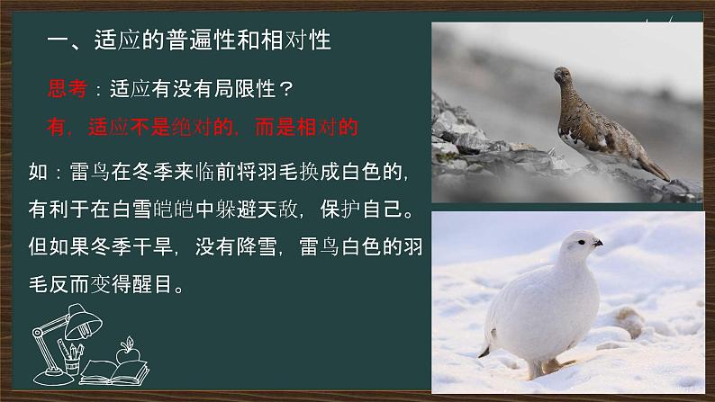6.2自然选择与适应的形成 课件-2021-2022学年高一下学期生物人教版(2019)必修2第5页