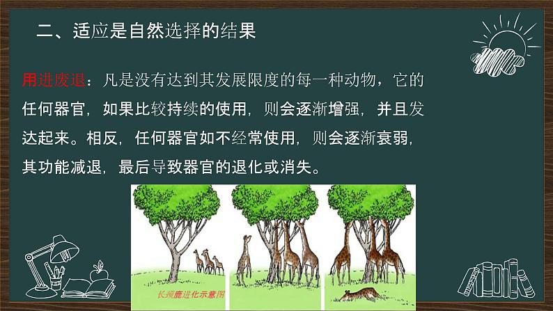 6.2自然选择与适应的形成 课件-2021-2022学年高一下学期生物人教版(2019)必修2第8页