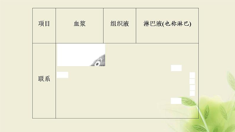 浙科版高中生物选择性必修1第一章内环境与稳态第一节人体细胞生活在内环境中课件第7页