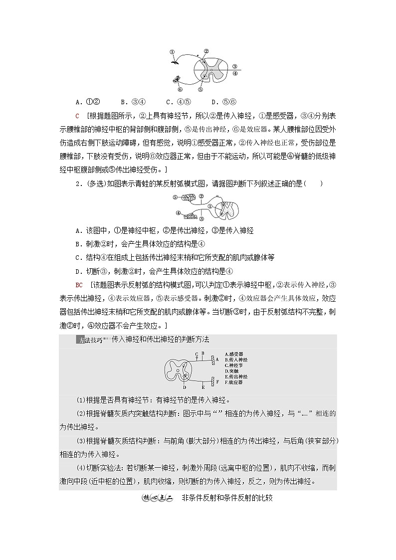 苏教版高中生物选择性必修1第一章人体稳态维持的生理基础第1节第3课时神经调节的基本方式是反射学案03