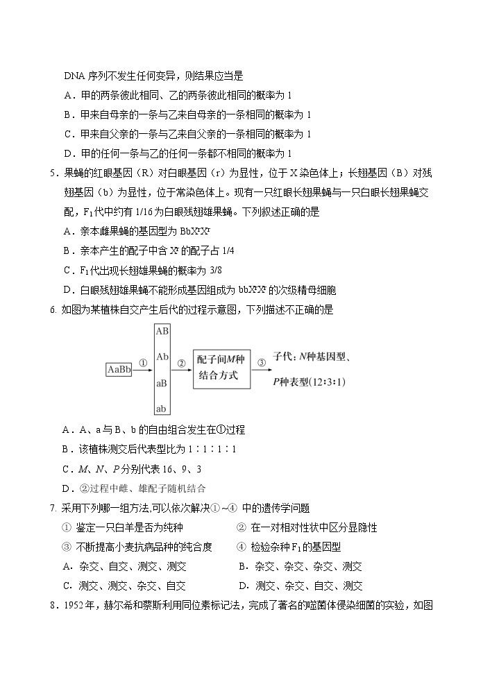 2022泰安肥城高一下学期期中考试生物含答案02