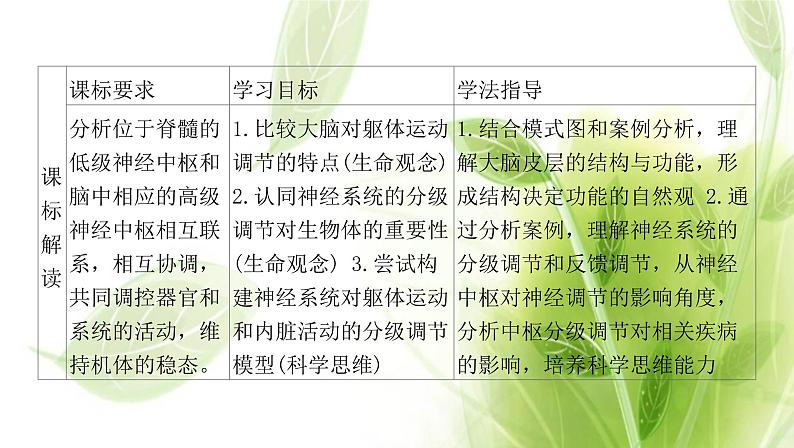 新人教版高中生物选择性必修第一册第2章神经调节第4节神经系统的分级调节课件02