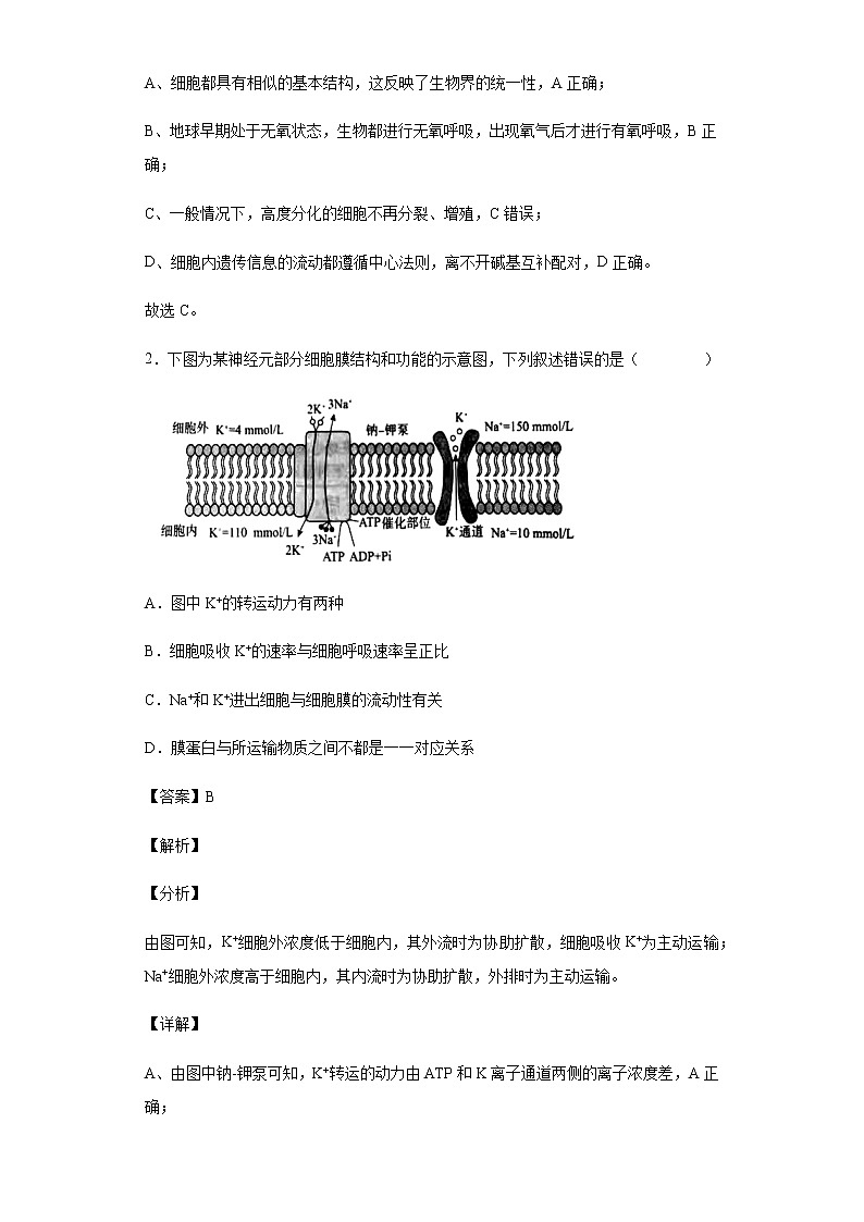 2021-2022学年河北省衡水市冀州中学高三4月月考生物试题含解析第2页