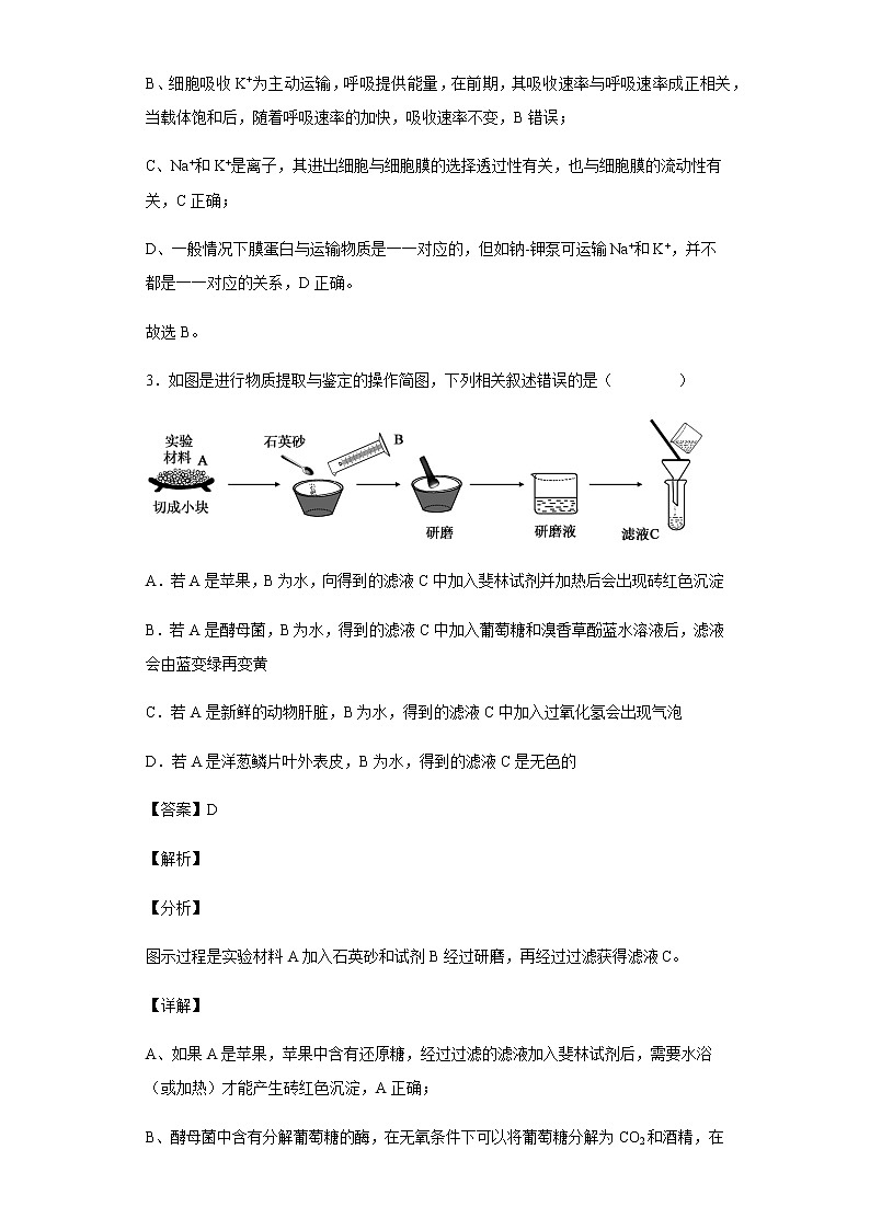 2021-2022学年河北省衡水市冀州中学高三4月月考生物试题含解析第3页