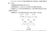 苏教版 (2019)选择性必修1 稳态与调节第一节 神经调节学案及答案