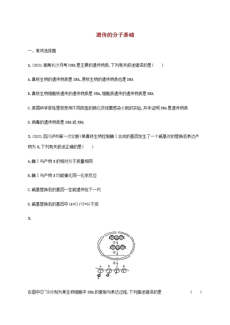 高考生物二轮复习专题突破练6遗传的分子基础含解析01