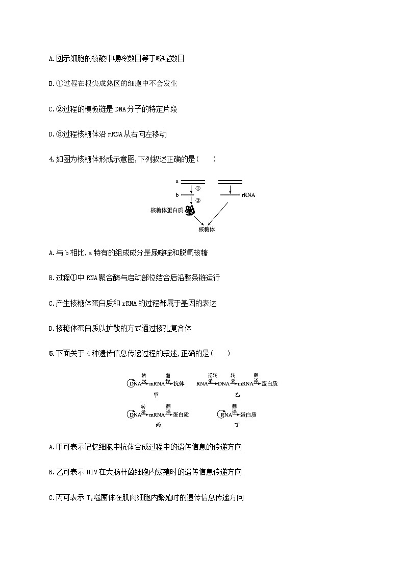 高考生物二轮复习专题突破练6遗传的分子基础含解析02