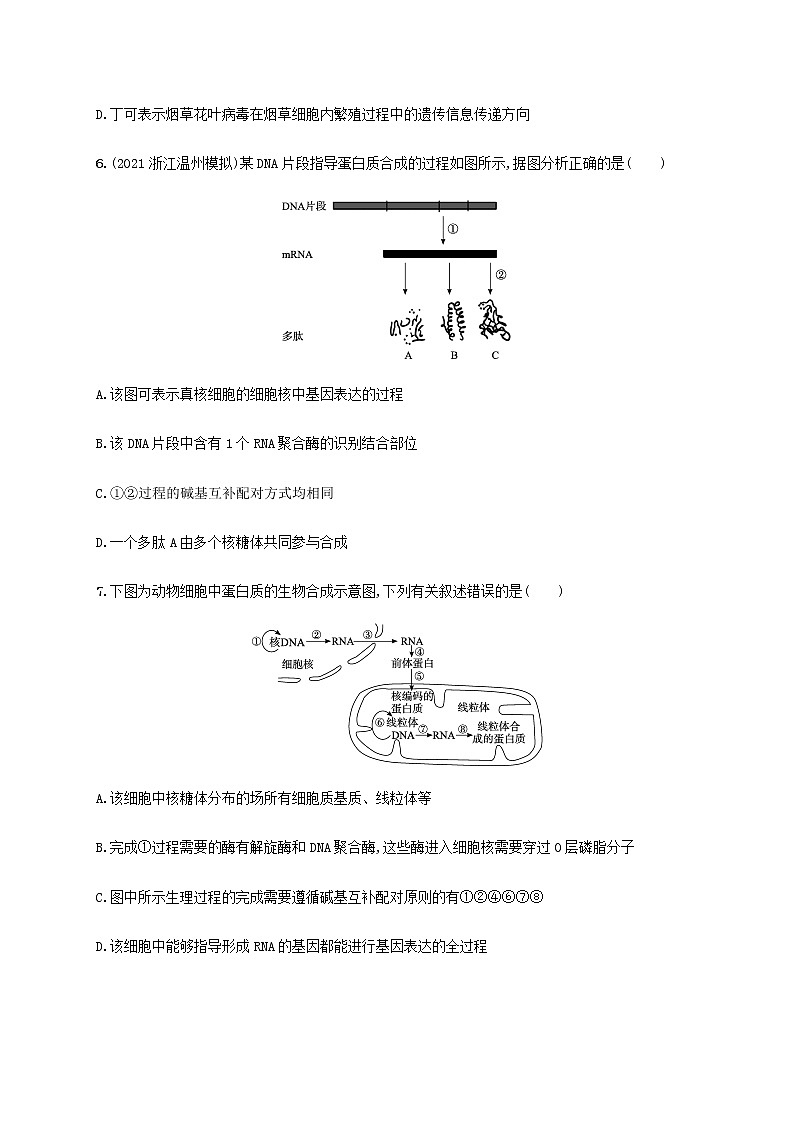高考生物二轮复习专题突破练6遗传的分子基础含解析03