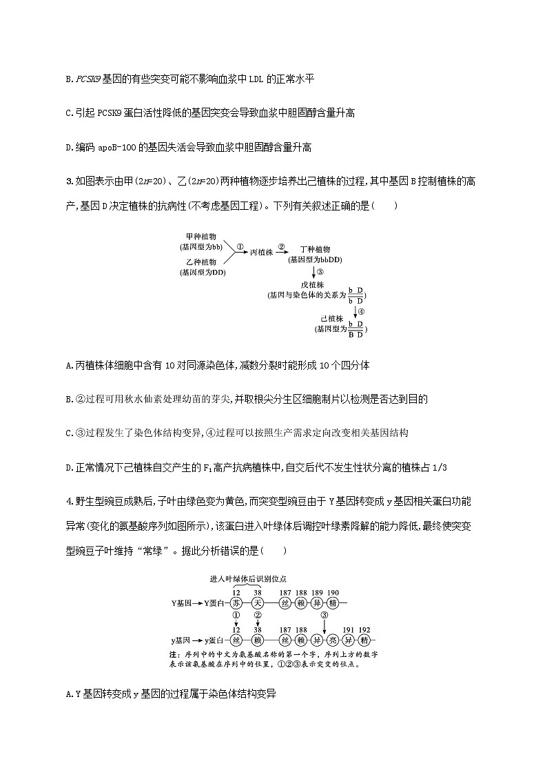 高考生物二轮复习专题突破练8生物的变异育种与进化含解析第2页