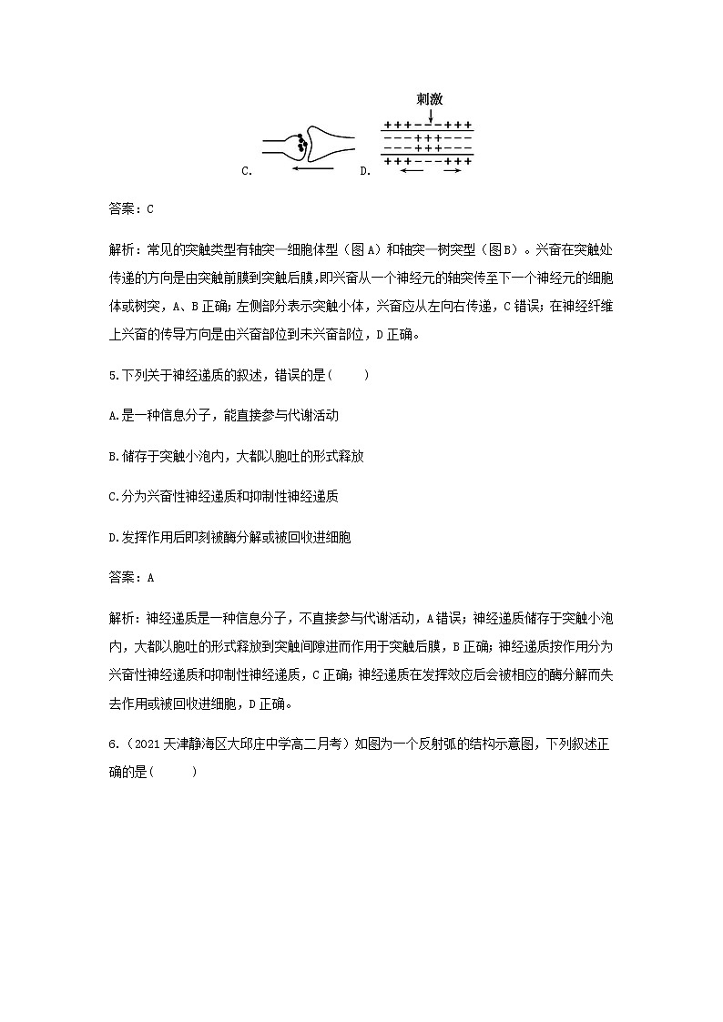 新人教版高中生物选择性必修第一册第2章神经调节第3节神经冲动的产生和传导作业含解析第3页