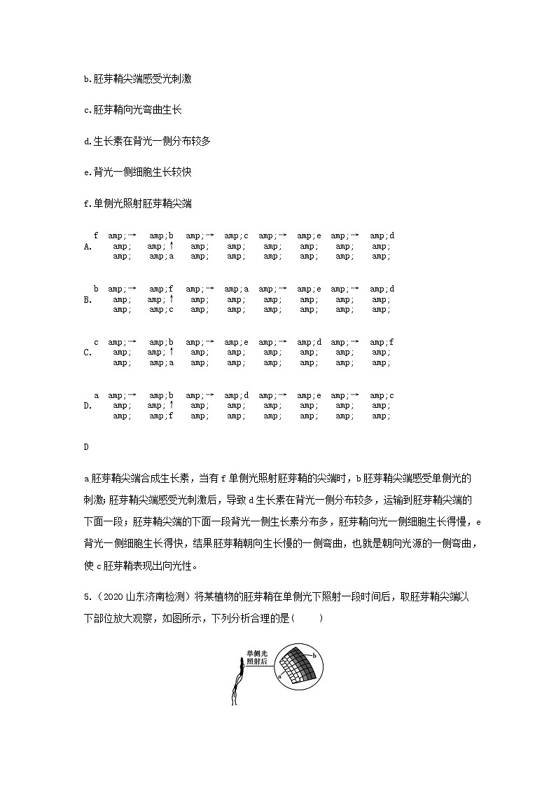 新人教版高中生物选择性必修第一册第5章植物生命活动的调节第1节植物生长素作业含解析第3页