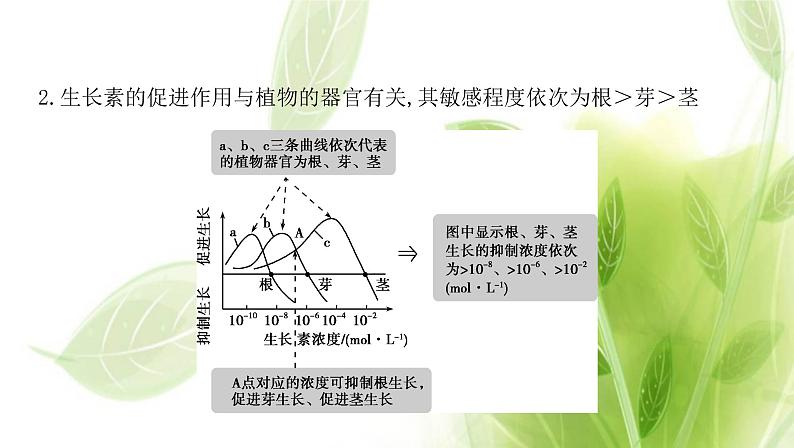 新人教版高中生物选择性必修第一册第5章植物生命活动的调节微专题3生长素生理作用的相关曲线分析及植物激素相关实验课件05