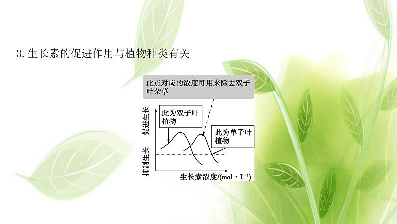 新人教版高中生物选择性必修第一册第5章植物生命活动的调节微专题3生长素生理作用的相关曲线分析及植物激素相关实验课件06