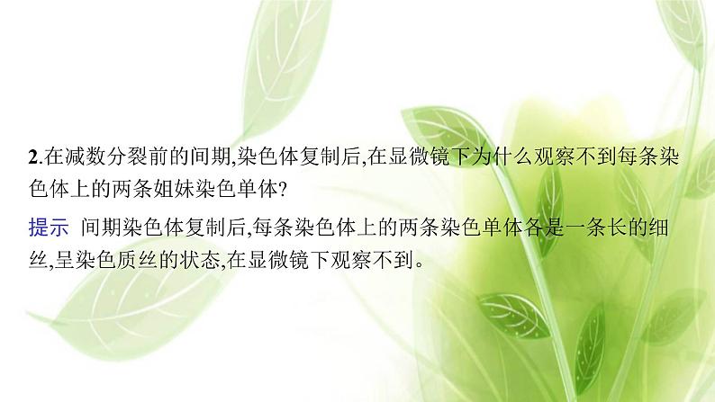 新教材高考生物二轮复习专题三细胞的生命历程课件第7页