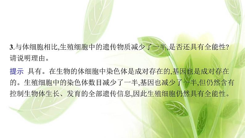 新教材高考生物二轮复习专题三细胞的生命历程课件第8页