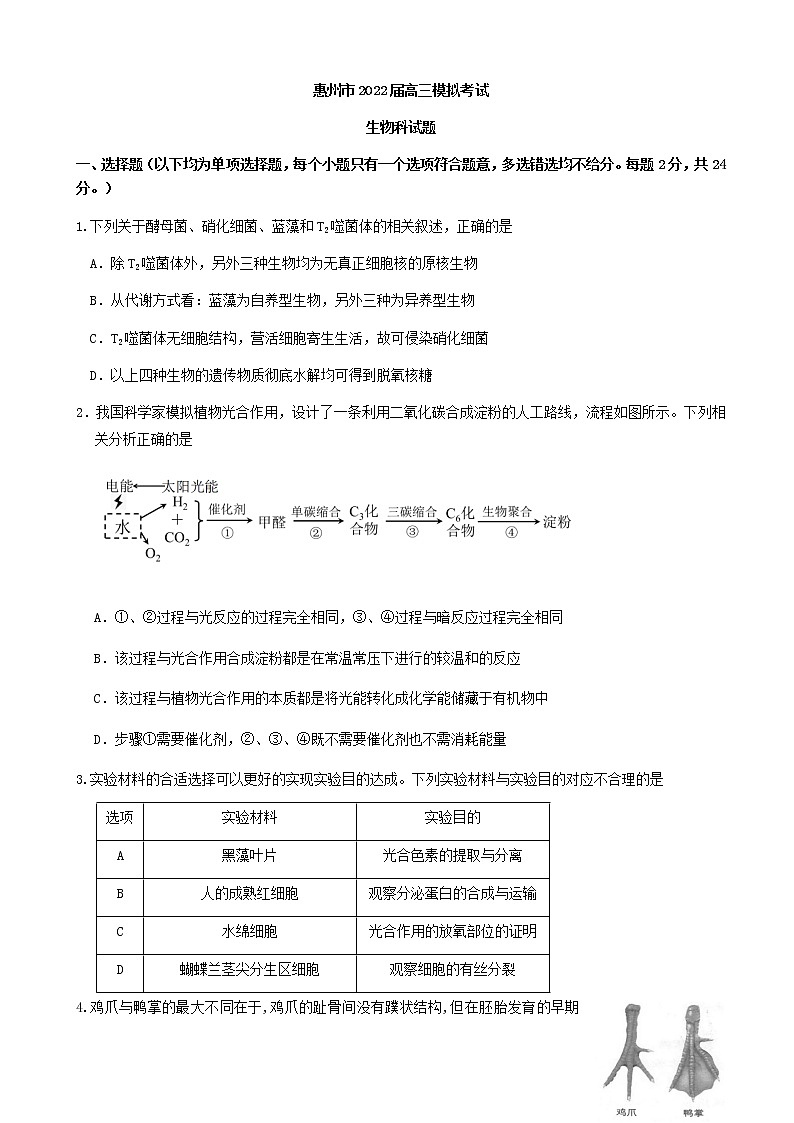 2022届广东省惠州一中(惠州市)高三4月模拟考试生物试题含答案01