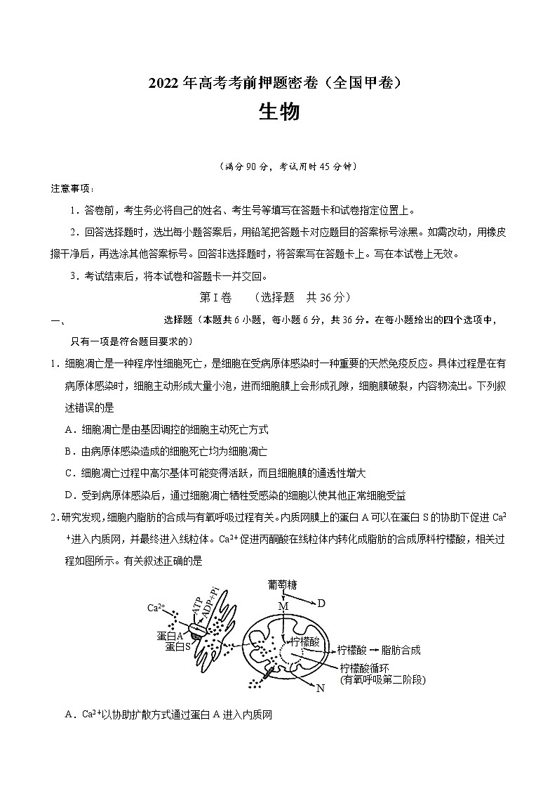 生物-2022年高考考前押题密卷(全国甲卷)(A4考试版)第1页