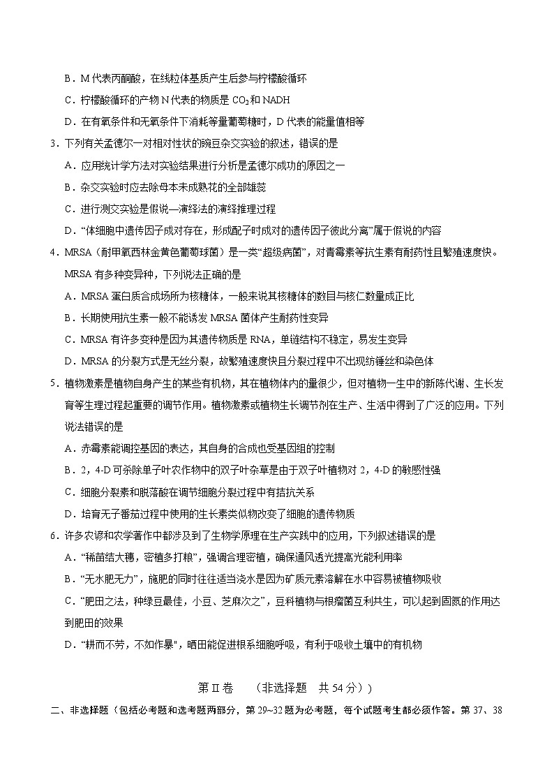 生物-2022年高考考前押题密卷(全国甲卷)(A4考试版)第2页