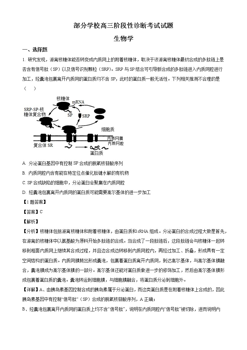 2022淄博部分学校高三下学期二模考试生物含解析01