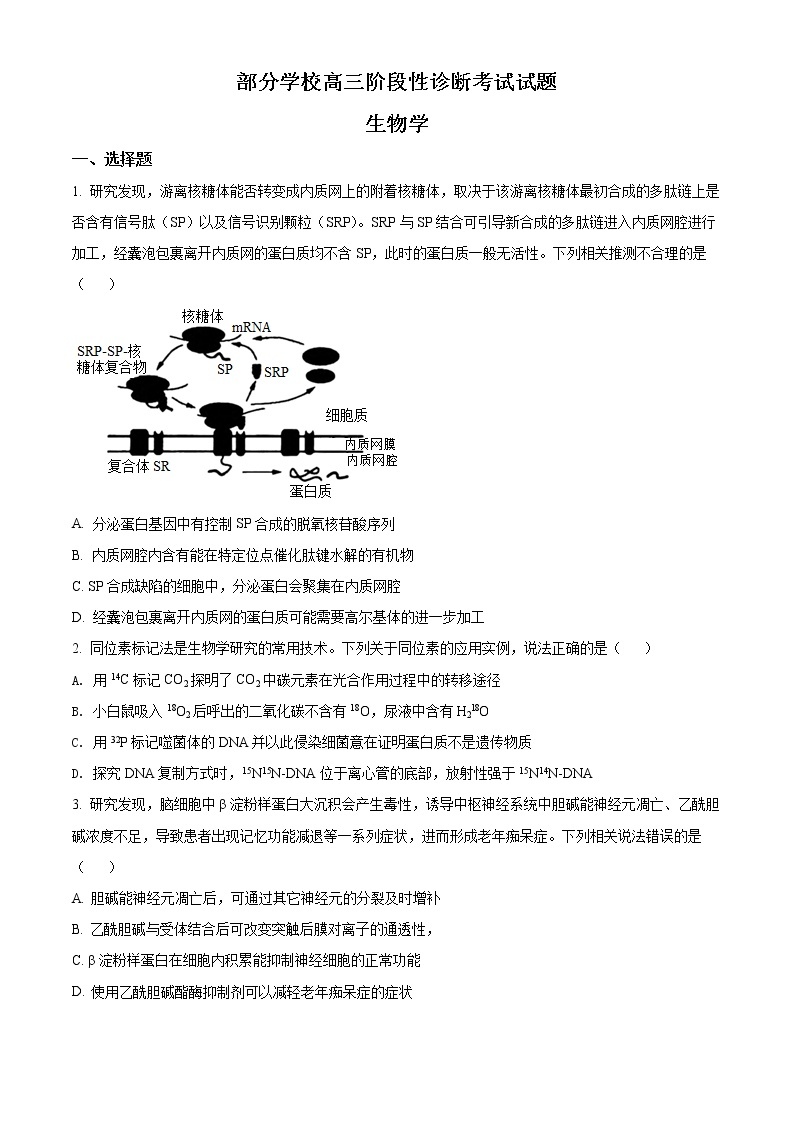 2022淄博部分学校高三下学期二模考试生物含解析01