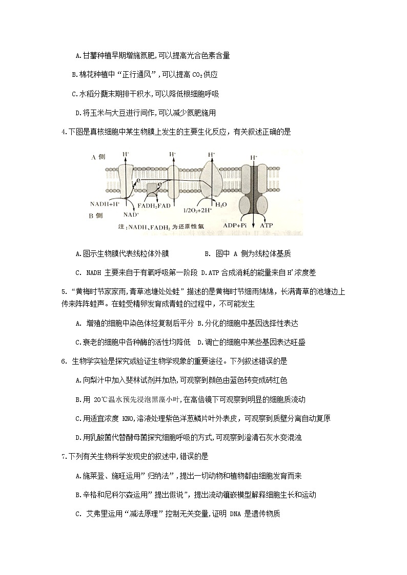 2021南通高一下学期期末质量监测生物试题含答案02