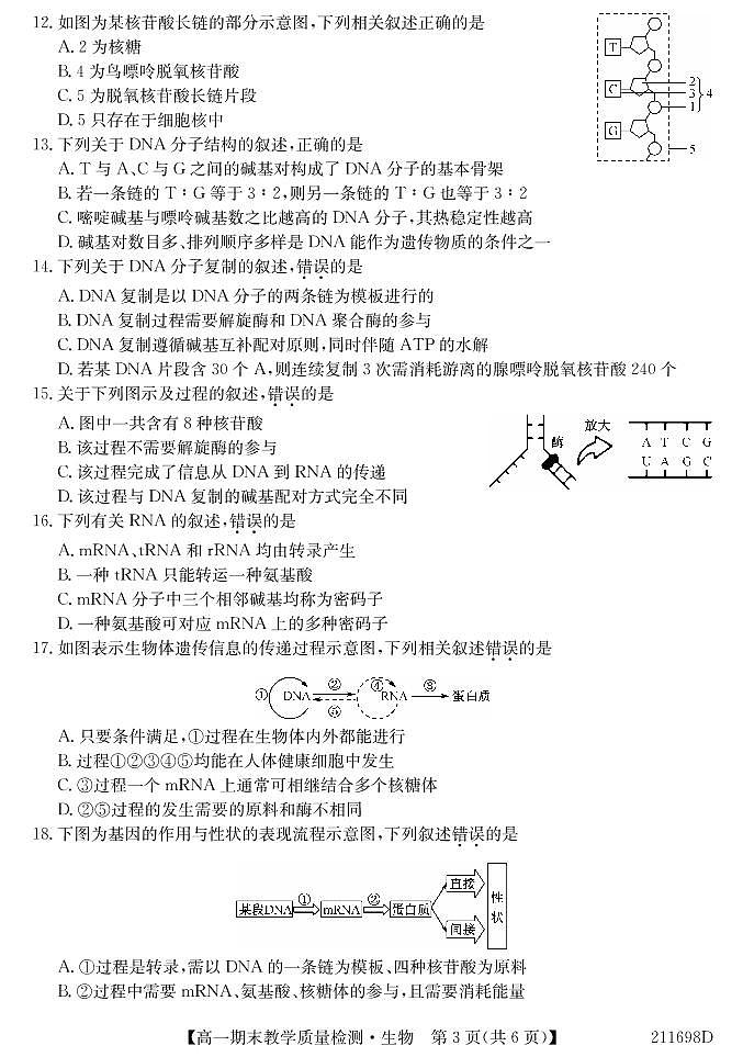 生物试题第3页