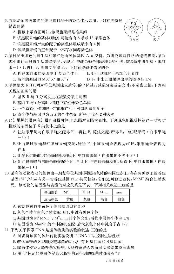 安徽省涡阳第—中学2020-2021学年高一下学期期末考试生物试题第2页