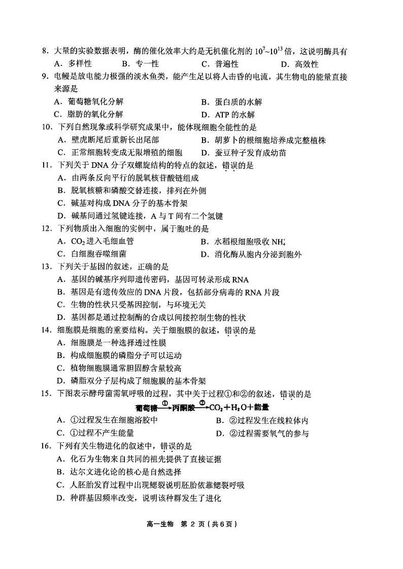 2021绍兴柯桥区高一下学期期末生物试题PDF版含答案02