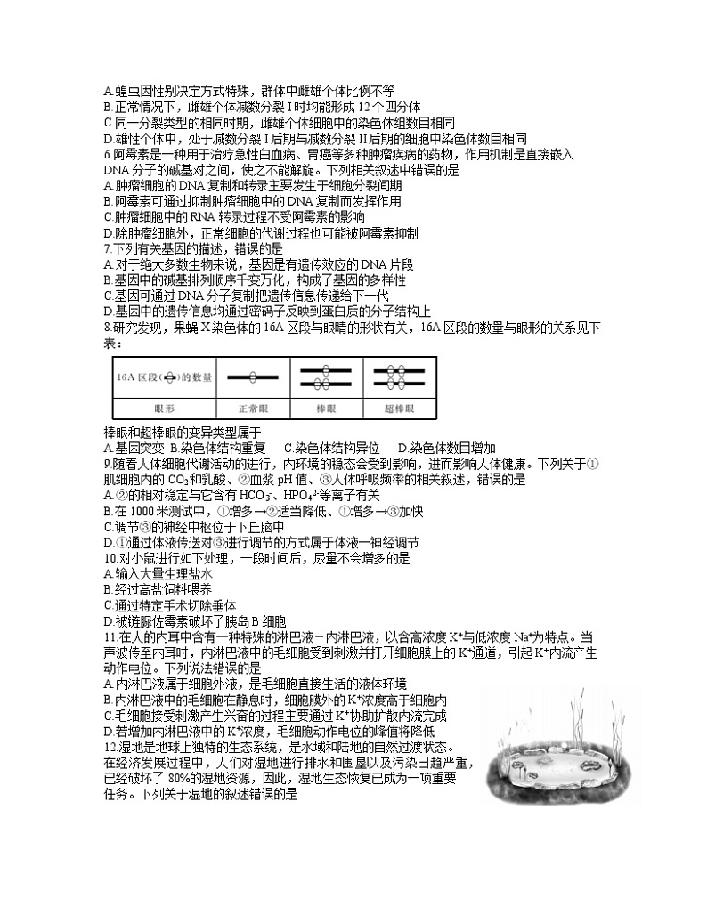 2022届广东省湛江市一模肇庆三模生物卷及答案(文字版)02