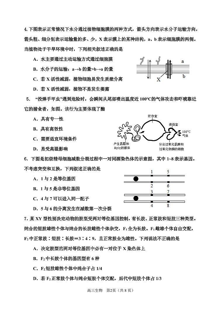 2022年天津市红桥区高三二模生物试题含答案02