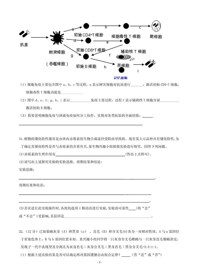 2019届广东省普宁市第二中学等七校联合体高三冲刺模拟理科综合生物试题(PDF版)第3页