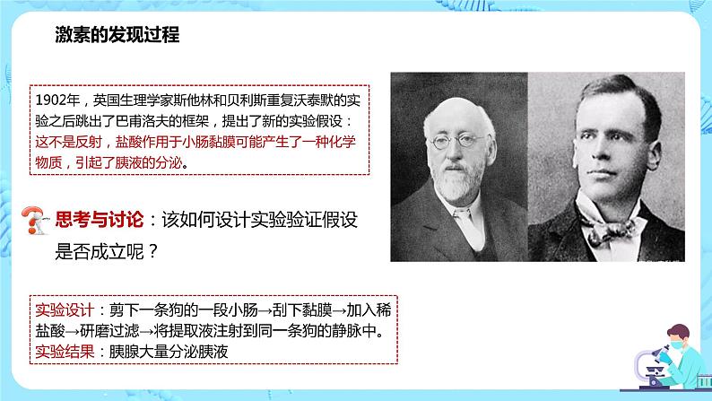 第一节《激素与内分泌系统》课件第6页