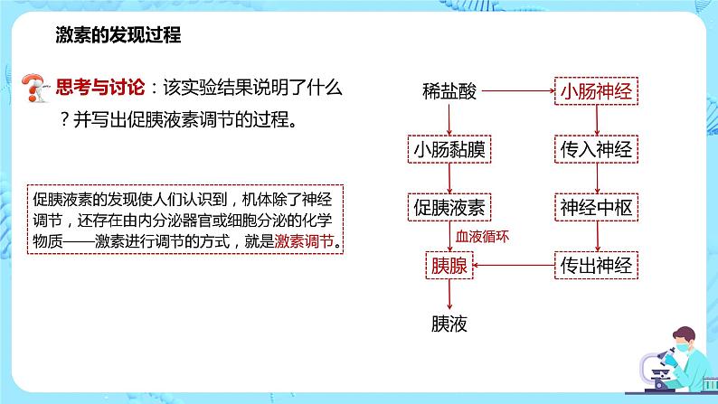 第一节《激素与内分泌系统》课件第7页