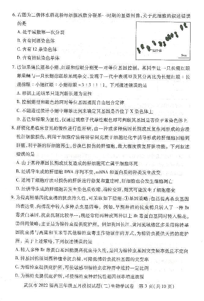 湖北省武汉市2022届高三年级五月模拟试题(二)生物试题(PDF版+含答案)第2页