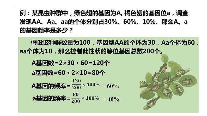 2021-2022学年高一下学期生物人教版(2019)必修二 6.3 种群基因组成的变化和物种的形成课件(51张PPT)07