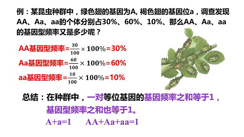 2021-2022学年高一下学期生物人教版(2019)必修二 6.3 种群基因组成的变化和物种的形成课件(51张PPT)08