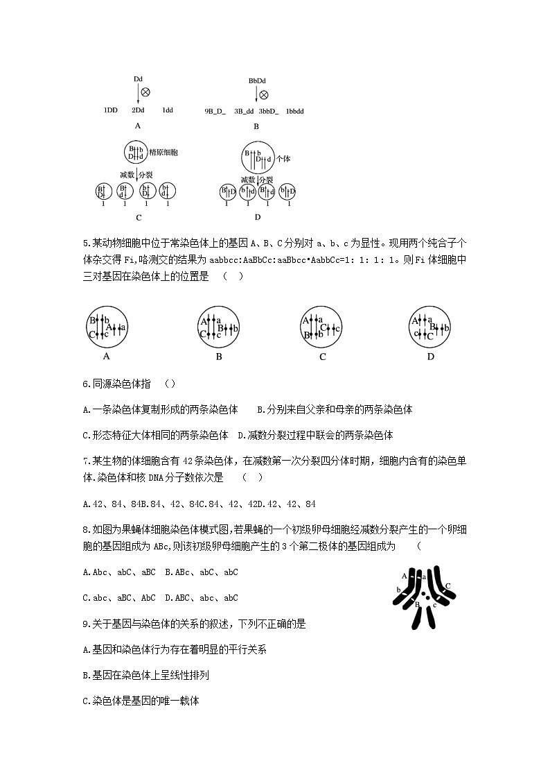 2021济宁泗水县高一下学期期中考试生物试题含答案第2页