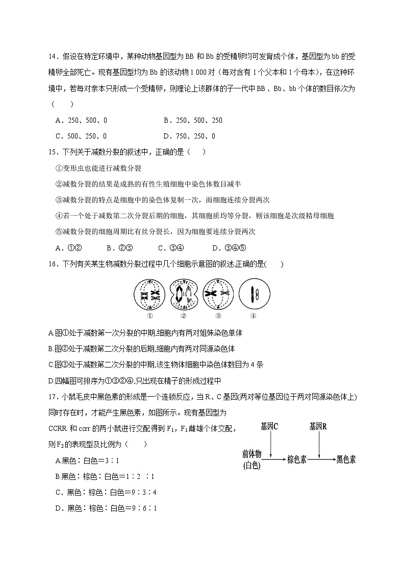 2021内江威远中学高一下学期第一次月考生物试题含答案第3页
