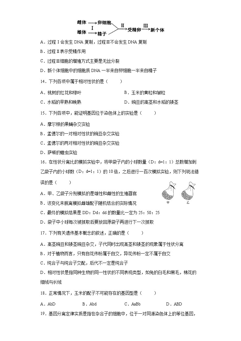 江苏省沛县树恩中学2021-2022学年高一下学期期中生物试卷(必修)(含答案)第3页