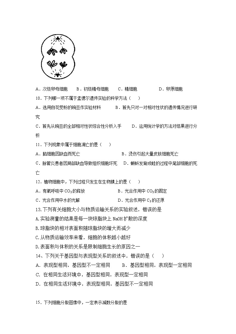 四川省资阳市外国语实验学校2021-2022学年高一下学期期中生物试题(含答案)第2页