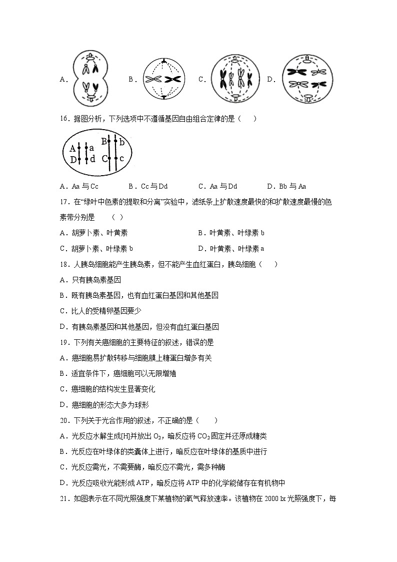 四川省资阳市外国语实验学校2021-2022学年高一下学期期中生物试题(含答案)第3页