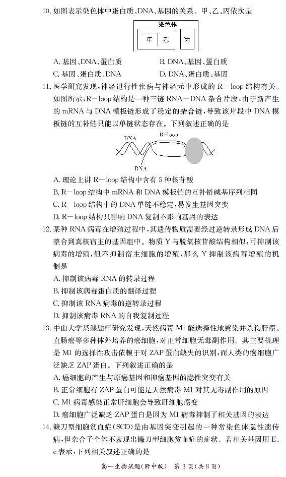 湖南師范大學(xué)附屬中學(xué)2020-2021學(xué)年高一下學(xué)期期中考試生物試題第3頁