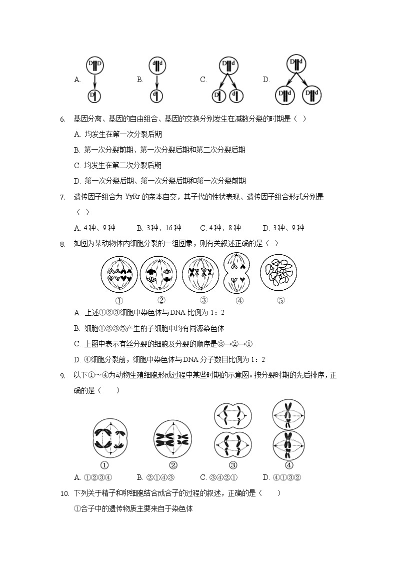 2021济南德润高级中学高一下学期期中考试生物试卷含答案第2页