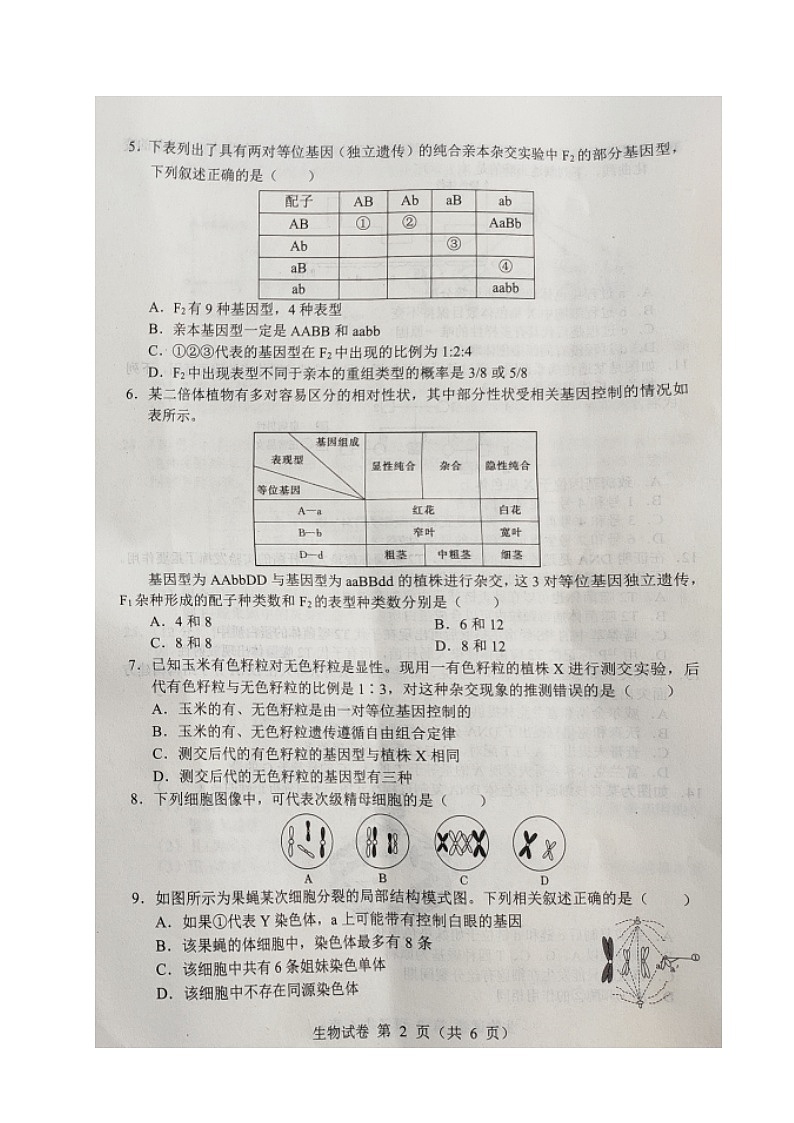 2021沈阳郊联体高一下学期期中考试生物试题扫描版含答案第2页