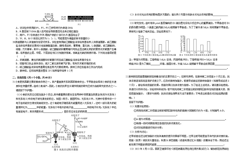 2022荆州中学等四校高三模拟联考(四)生物试题(含答案、答题卡)03