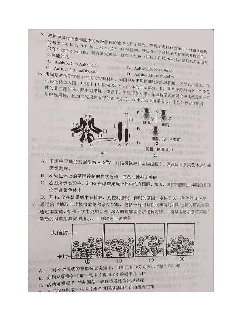 2021菏泽10校高一下学期期中联考试(B卷)生物试题扫描版含答案第2页