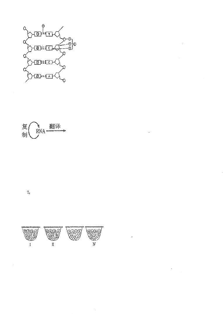 2021温州新力量联盟高一下学期期中联考生物试题扫描版含答案03