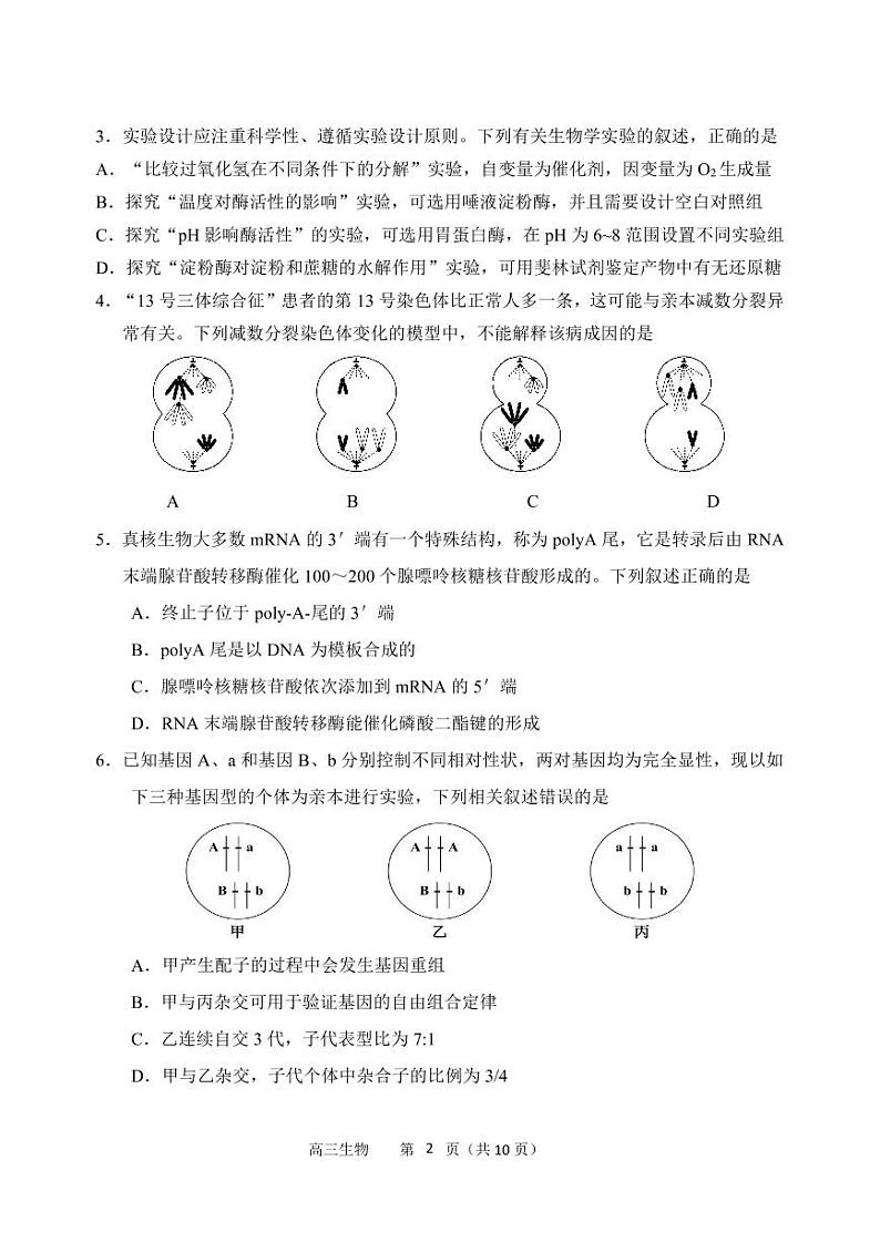 2022年沈阳市高三三模生物试题含答案第2页