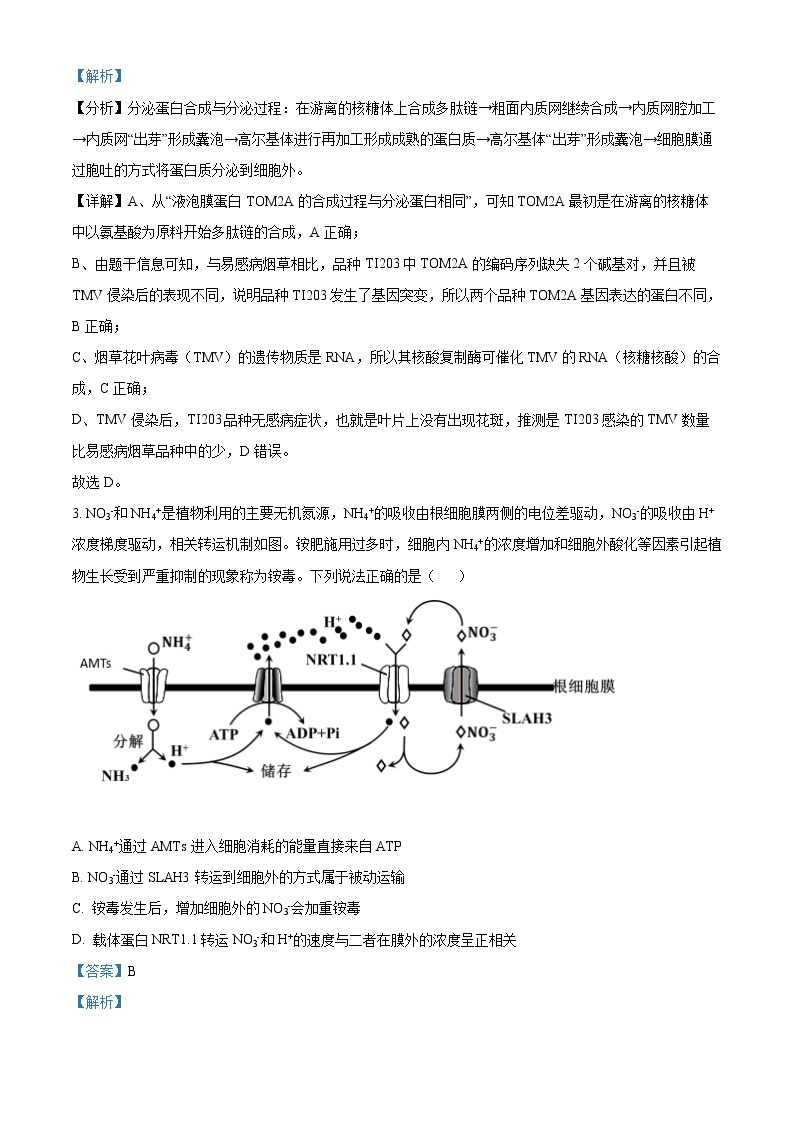 2022年高考山东卷 生物卷及答案解析（原卷+解析卷）02